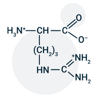 L-arginine