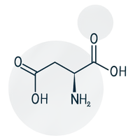 Acide D-Aspartique (D-AA)