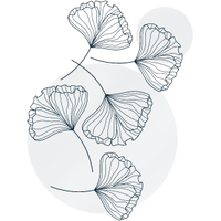 Feuille de ginkgo biloba