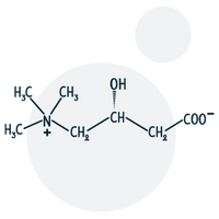 L-carnitine L-tartrate