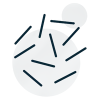 Lactobacillus rhamnosus