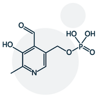 Vitamine B6 (chlorhydrate de pyridoxine)