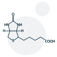 Biotine