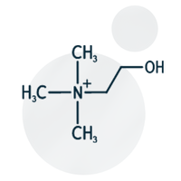 Choline