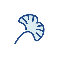 Ginkgo Biloba Extract