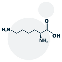 L-lysine