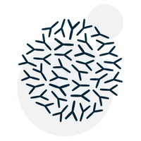 ActiBio-BC™ (complexe probiotique)