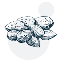 Vitamine E (DL-alpha-tocophéryle acétate)